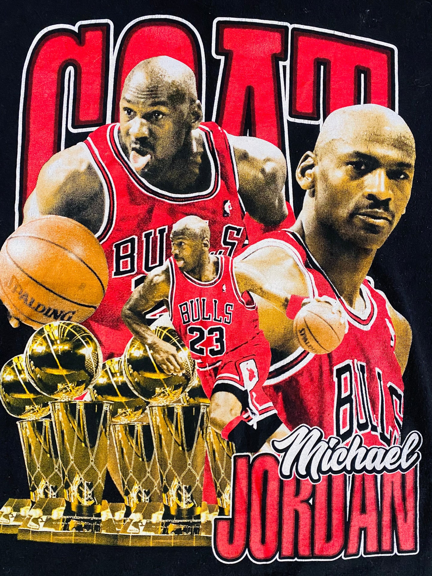 Jordan Goat Tee (Sz XL)