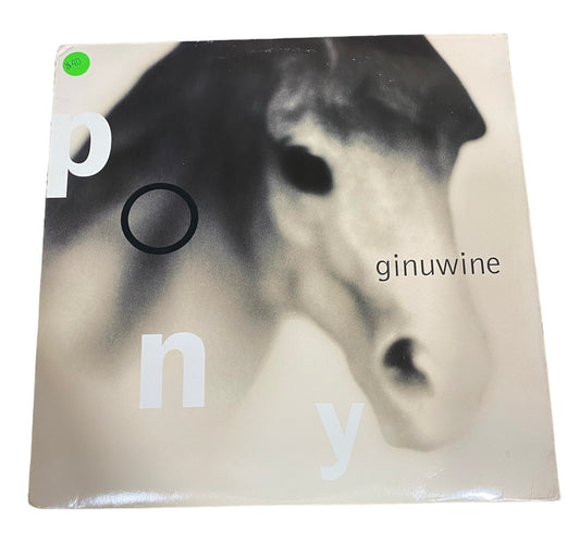 Ginuwine Pony Vinyl