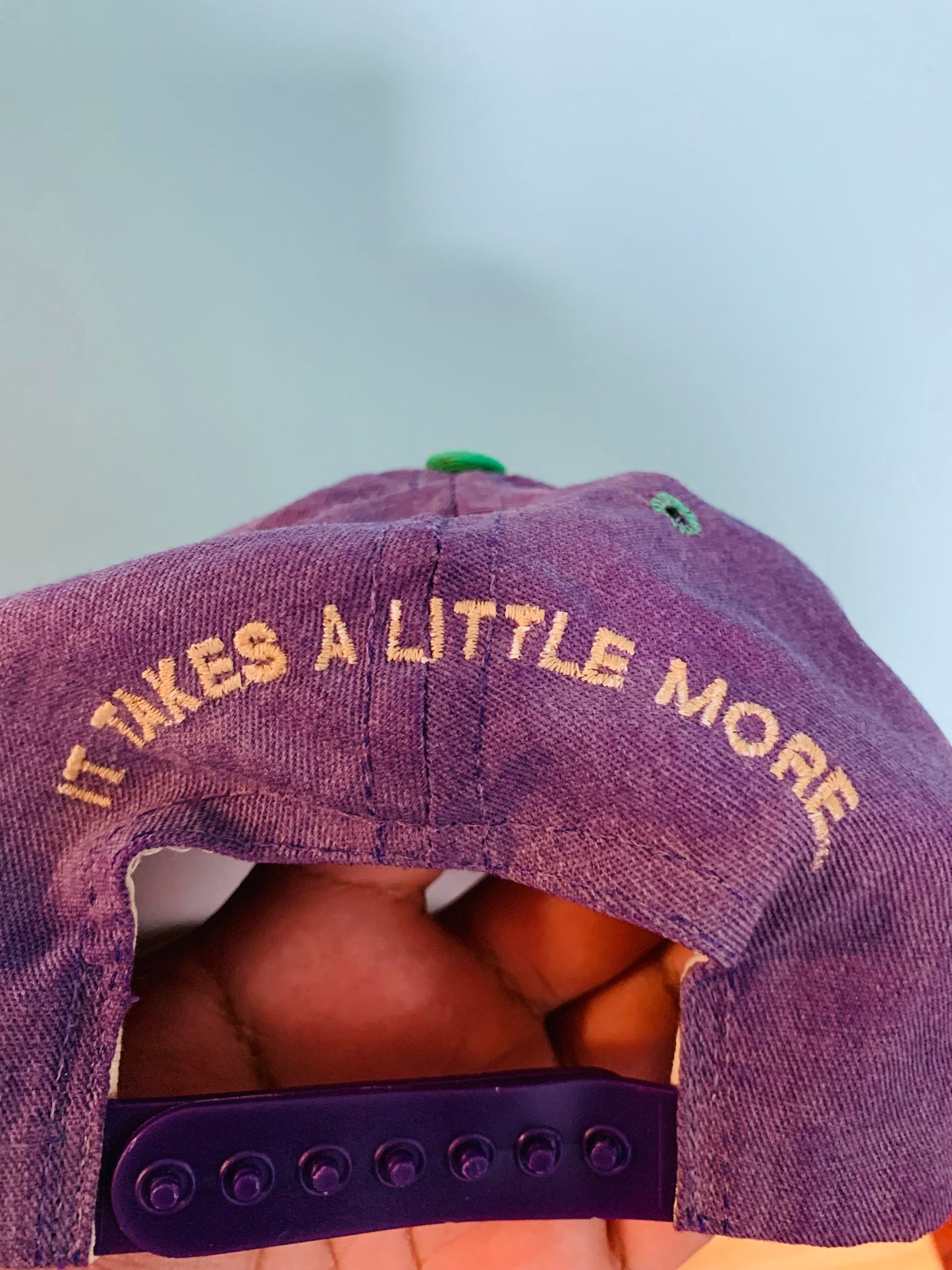 Vintage Distressed Champion SnapBack