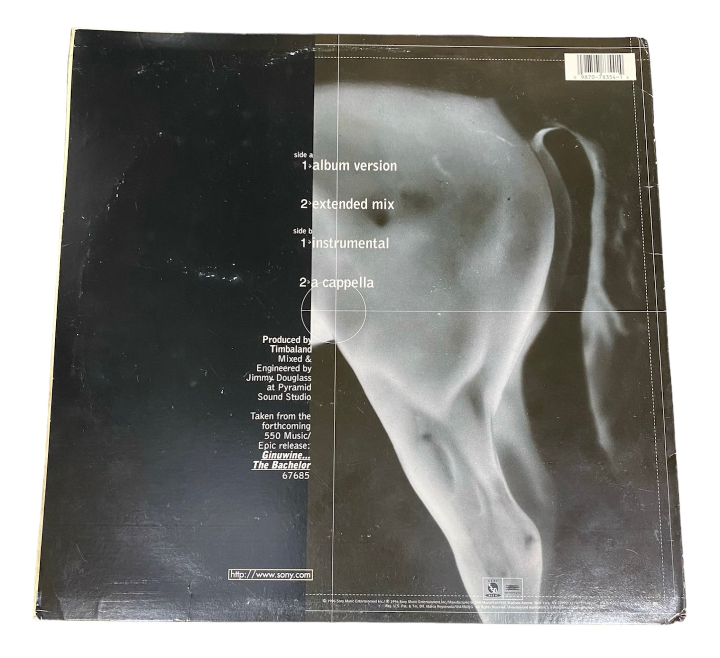 Ginuwine Pony Vinyl