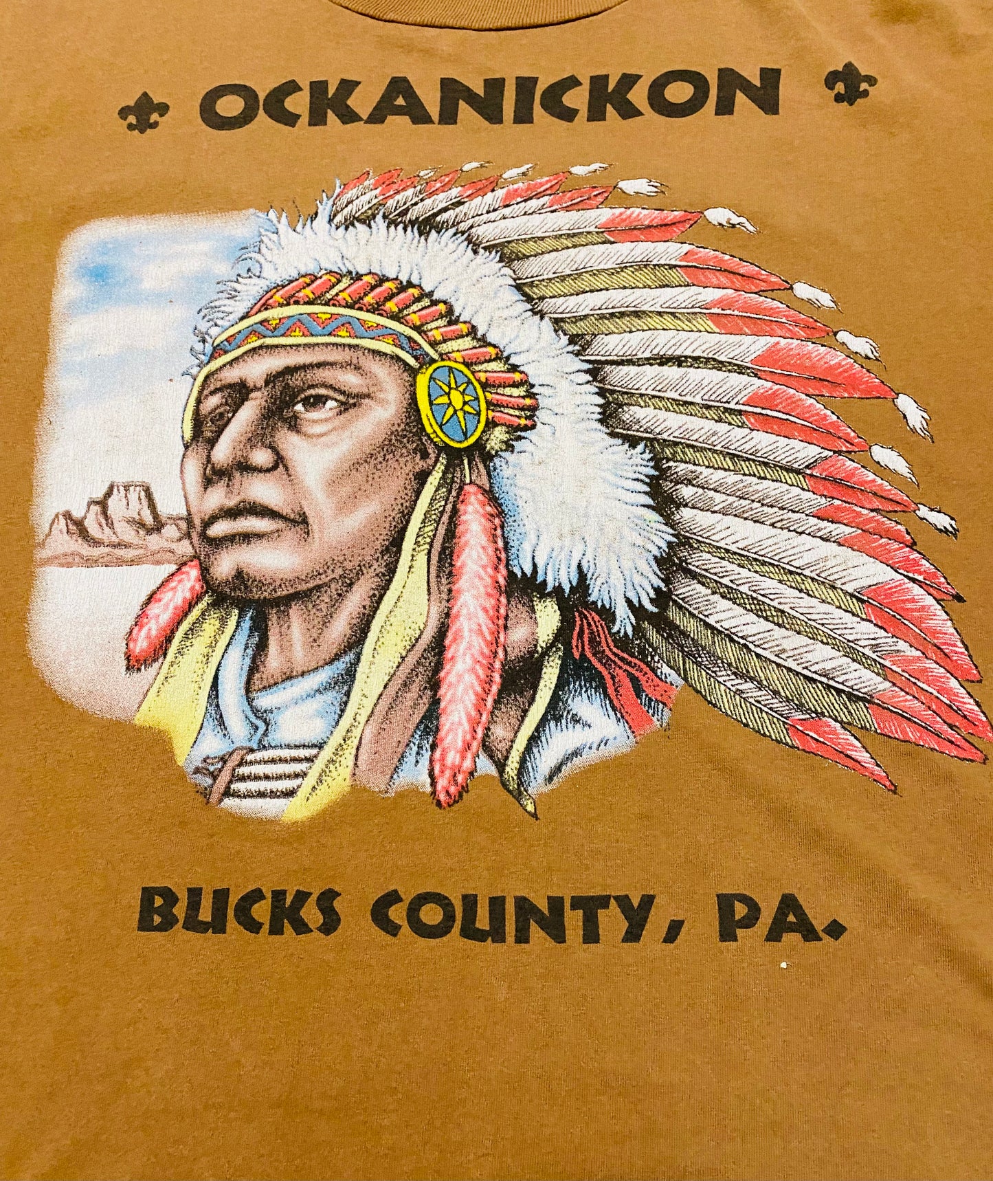 Vintage Bucks County Native American Tee (Sz XL)